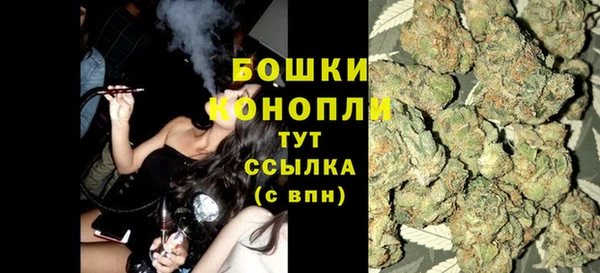сатива Нея