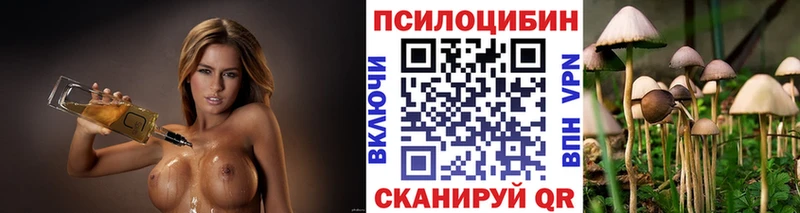 Галлюциногенные грибы GOLDEN TEACHER  где купить наркоту  Нестеровская 